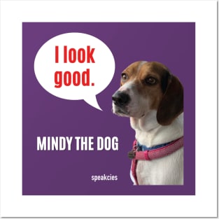 Mindy The Dog Posters and Art